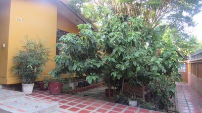 /international/co/street-80b-39-25-unit-0-barranquilla-atlantico-310106267057/