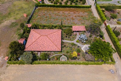 /international/co/rozo-palmira-valle-del-cauca-colombia-palmira-valle-del-cauca-310094332301/?lang=zh-cn