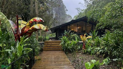 /international/co/don-diego-la-lorena-el-retiro-el-retiro-antioquia-antioquia-310106519607/