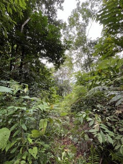 /international/cr/quepos-quepos-puntarenas-quepos-puntarenas-310101087057/