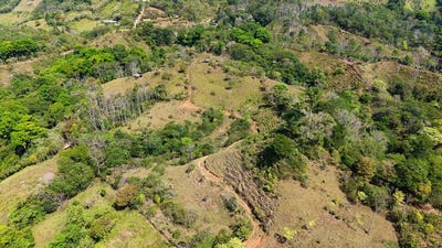 /international/cr/2-8-ha-farm-for-sale-in-san-luis-de-morete-mountain-views-and-near-the-ocean-morete-san-jose-310107063869/