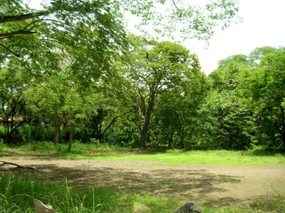 /international/cr/walking-distance-beachside-corner-lot-with-water-playa-hermosa-guanacaste-province-310100486733/