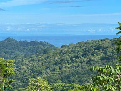 /international/cr/lagunas-osa-puntarenas-osa-puntarenas-310101510970/?lang=it