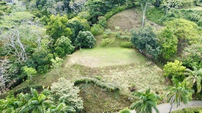 /international/cr/3-6-acre-ocean-view-near-the-beach-cool-mountain-elevation-mountain-home-construction-site-for-sale-in-lagunas-lagunas-puntarenas-310102438223/