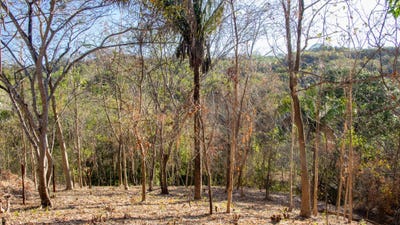 /international/cr/28c4-cp-cuajiniquil-guanacaste-province-310107041211/