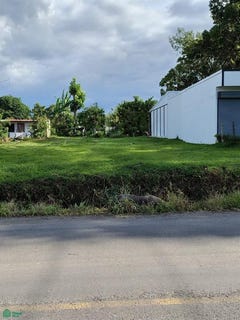 /international/cr/lote-cindy-guapiles-limon-310108246759/