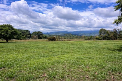 /international/cr/londres-naranjito-quepos-quepos-puntarenas-quepos-puntarenas-310108291000/