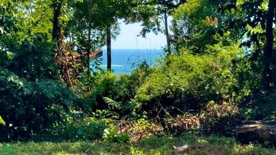 /international/cr/las-brisas-bahia-ballena-osa-puntarenas-osa-puntarenas-310107789591/