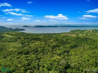 /international/cr/playa-panama-sardinal-guanacaste-province-310106199052/