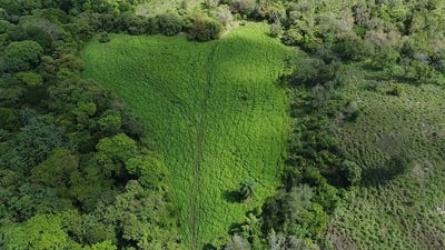 /international/cr/riverfront-mountain-and-countryside-agricultural-land-for-sale-in-canas-dulces-canas-dulces-guanacaste-province-310101059419/?lang=zh-cn