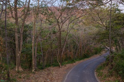 /international/cr/lot-11-palo-vista-near-huacas-tamarindo-guanacaste-province-310107413545/