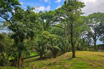 /international/cr/x86v-h9v-del-mar-pathway-provincia-de-guanacaste-nosara-costa-rica-nicoya-guanacaste-province-310093934591/