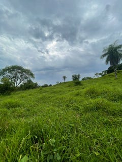 /international/cr/el-llano-de-turrubares-turrubares-san-jose-turrubares-san-jose-310108674477/