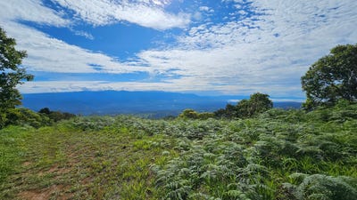 /international/cr/finca-in-altos-de-ojo-perez-zeldedon-san-jose-province-310098385665/