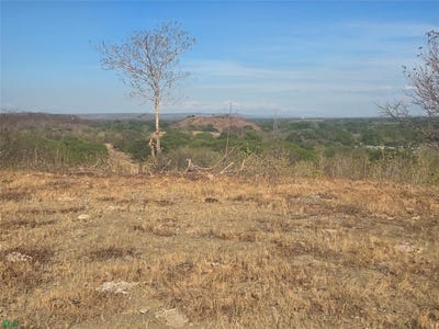 /international/cr/ruta-hacia-playa-hermosa-sardinal-guanacaste-co-liberia-guanacaste-province-310108054347/