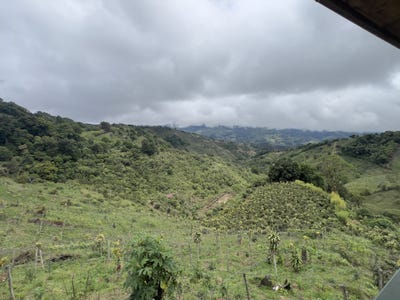 /international/cr/la-luchita-el-guarco-cartago-el-guarco-cartago-el-guarco-cartago-province-310107949151/