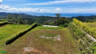 /international/cr/lot-3-phase-5-puerto-cortes-osa-puntarenas-osa-puntarenas-310106462031/
