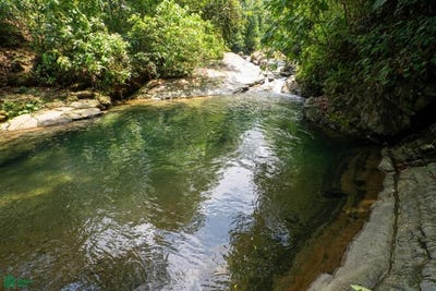 /international/cr/finca-dos-bocas-bahia-ballena-osa-puntarenas-osa-puntarenas-310102672080/