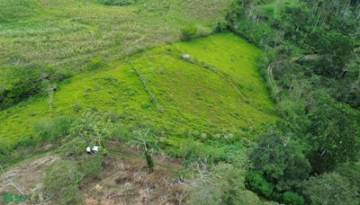 /international/cr/pavones-turrialba-turrialba-cartago-turrialba-cartago-province-310107620798/