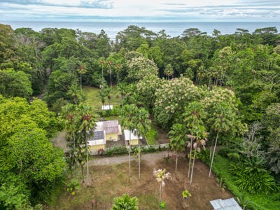 /international/cr/cahuita-cahuita-limon-310103747258/