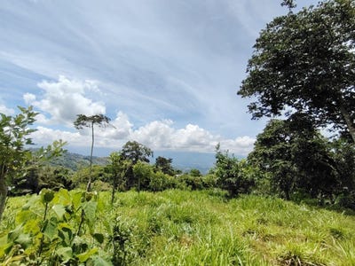 /international/cr/san-juan-bosco-150-este-de-la-escuela-de-la-suiza-perez-zeledon-san-jose-perez-zeledon-san-jose-310101514981/?lang=de