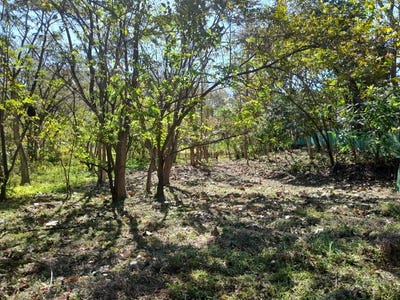 /international/cr/samara-samara-guanacaste-province-310106687582/