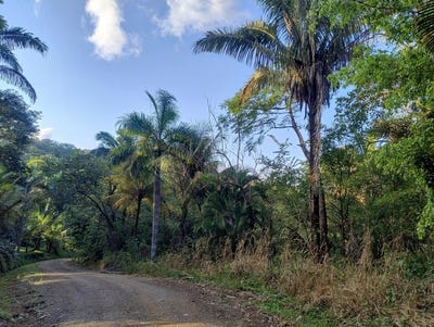 /international/cr/gated-community-jungle-view-lot-near-the-coast-home-construction-site-for-sale-in-samara-samara-guanacaste-province-310105806094/
