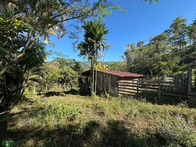 /international/cr/finca-buena-vista-rivas-perez-zeledon-san-jose-rivas-san-jose-310104098446/