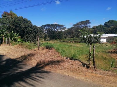 /international/cr/fantastic-large-lot-in-peaceful-monterrey-quiet-community-close-to-the-beach-in-esterillos-lot-lv13-rancho-monterrey-esterillos-este-parrita-puntarenas-costa-rica-esterillos-este-puntarenas-310104979699/