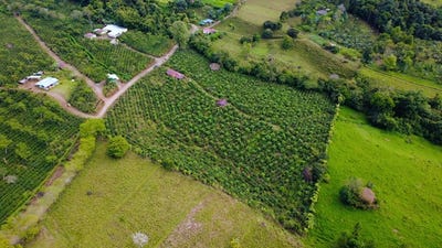 /international/cr/countryside-agricultural-land-for-sale-in-santa-elena-de-san-isidro-santa-elena-de-san-isidro-heredia-province-310104001058/