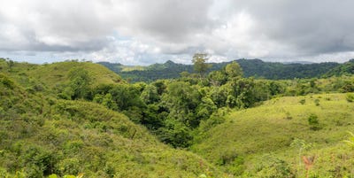 /international/cr/prime-land-in-osa-sierpe-osa-puntarenas-310106481401/
