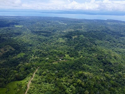 /international/cr/high-elevation-rainforest-and-ocean-view-property-puerto-jimenez-puntarenas-310108641511/