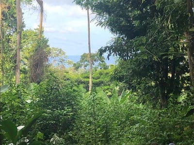 /international/cr/buildable-lot-private-paradise-cahuita-cahuita-limon-310108701524/