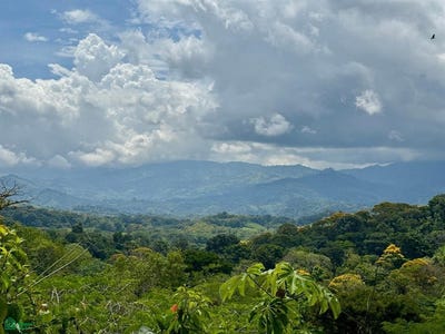 /international/cr/platanillo-puntarenas-puntarenas-310108841364/