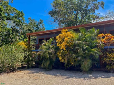 /international/cr/income-opportunity-retreat-nosara-guanacaste-province-310107791455/