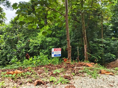 /international/cr/golfito-guaycara-puntarenas-puntarenas-puntarenas-puntarenas-310101514657/?lang=de