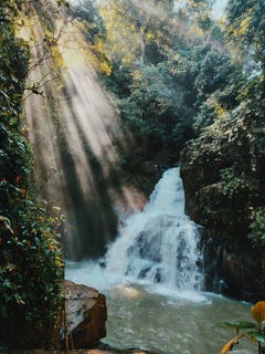 /international/cr/baru-perez-zeledon-costa-rica-perez-zeledon-san-jose-perez-zeledon-san-jose-310100660932/