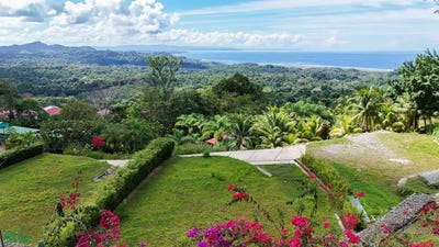 /international/cr/phase-5-puerto-cortes-osa-puntarenas-osa-puntarenas-310106357935/