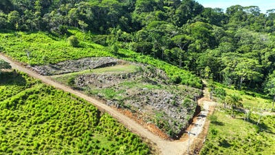 /international/cr/calle-bejuco-300-m-del-hotel-kura-uvita-bahia-ballena-uvita-puntarenas-uvita-puntarenas-310108926758/?lang=de