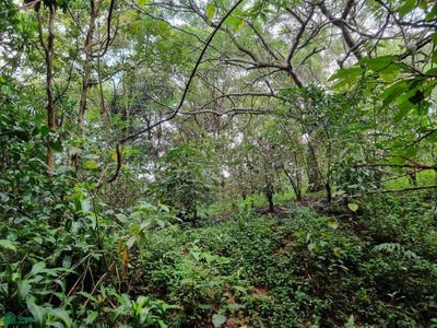 /international/cr/sarchi-norte-valverde-vega-alajuela-alajuela-province-310099495095/?lang=zh-tw