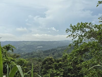 /international/cr/countryside-development-parcel-for-sale-in-alfaro-alfaro-alajuela-province-120093962162/?lang=zh-tw