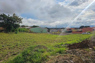 /international/cr/alajuela-alajuela-province-310108555380/