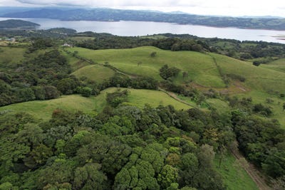 /international/cr/f29j-57h-provincia-de-guanacaste-tilaran-barrio-el-carmen-costa-rica-tilaran-guanacaste-province-310108321088/