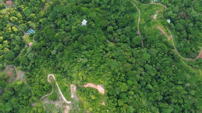 /international/cr/residencial-las-palmas-san-antonio-de-damas-lote-15-b-parrita-puntarenas-parrita-puntarenas-310108056638/