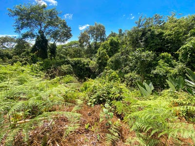 /international/cr/puntarenas-ojochal-de-osa-phase-4-ojochal-puntarenas-ojochal-puntarenas-province-310108217894/