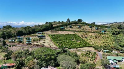 /international/cr/san-juanillo-san-jose-alajuela-province-310106746758/