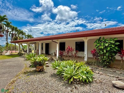 /international/cr/dominical-puntarenas-puntarenas-310106133513/