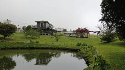 /international/cr/canas-gordas-coto-brus-coto-brus-puntarenas-coto-brus-puntarenas-310105433875/