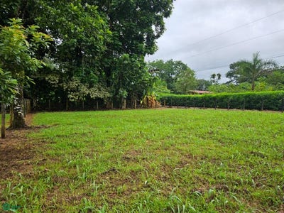 /international/cr/los-tucanes-sonafluca-fortuna-san-carlos-alajuela-san-carlos-alajuela-province-310102572298/