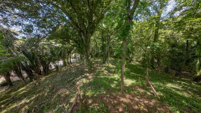 /international/cr/x85j-p9g-guanacaste-province-nosara-costa-rica-nosara-guanacaste-province-310093928224/